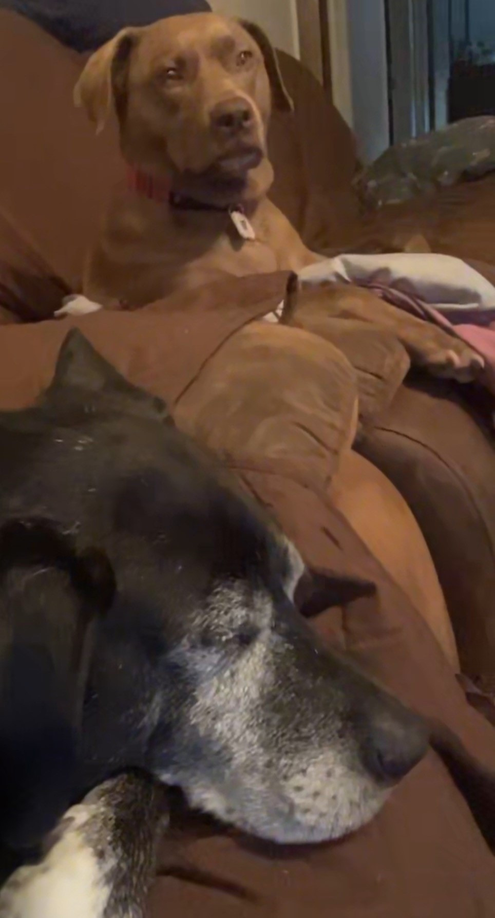 Investor Image Missing